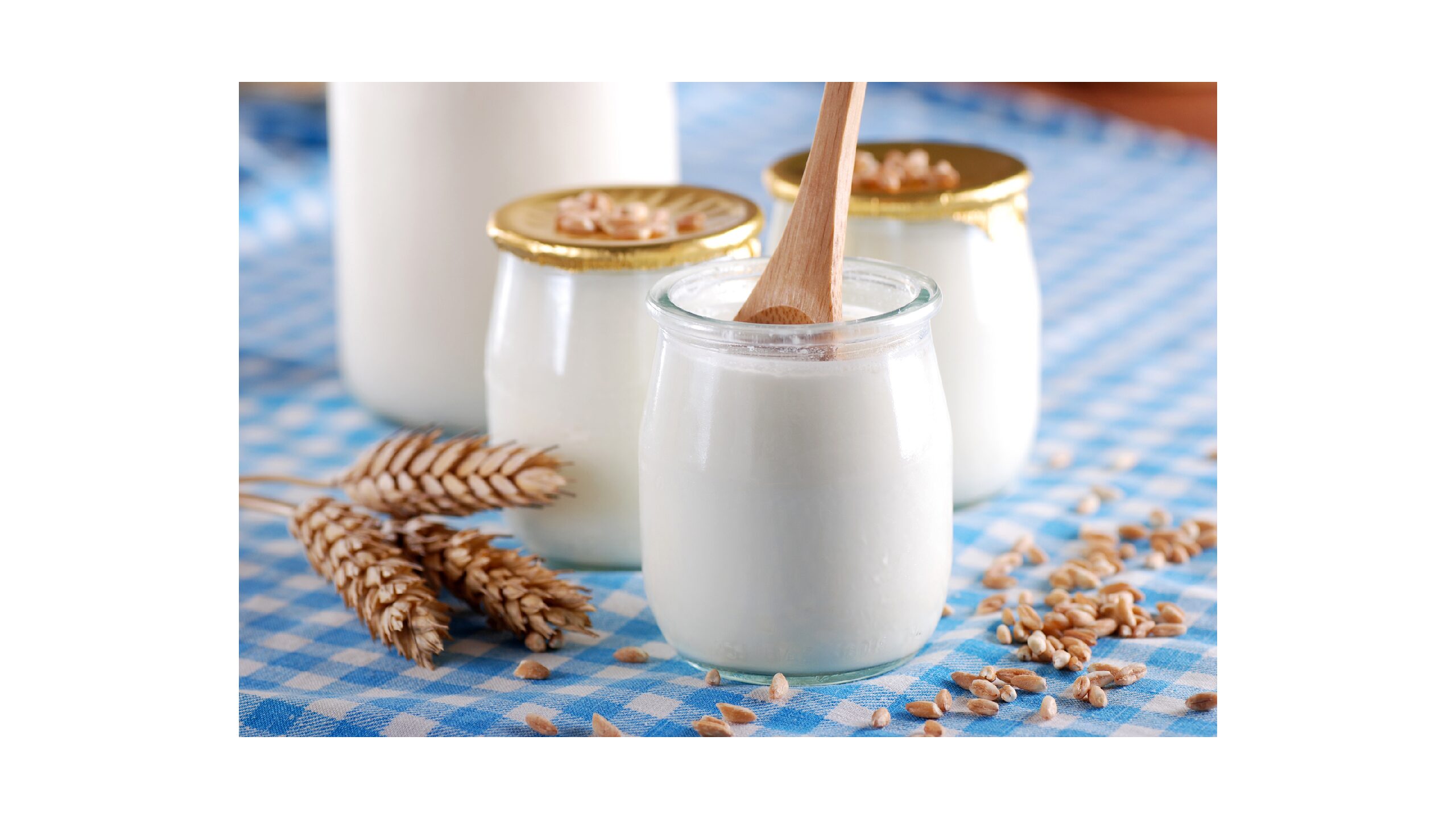 Kaneka to release ‘Pure Nature™ Organic Yogurt’ in individual serving type.